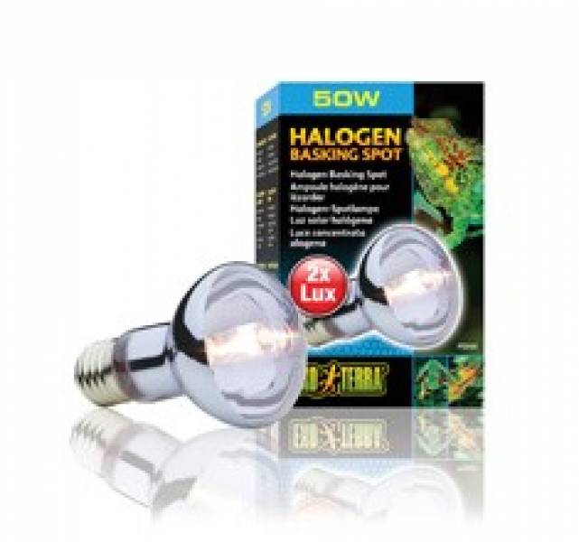 Exo Terra Halogen Basking Spot